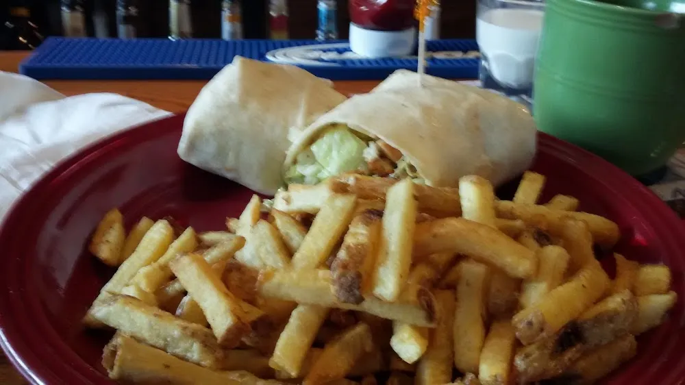 Chicken Wrap with Homemade Fries